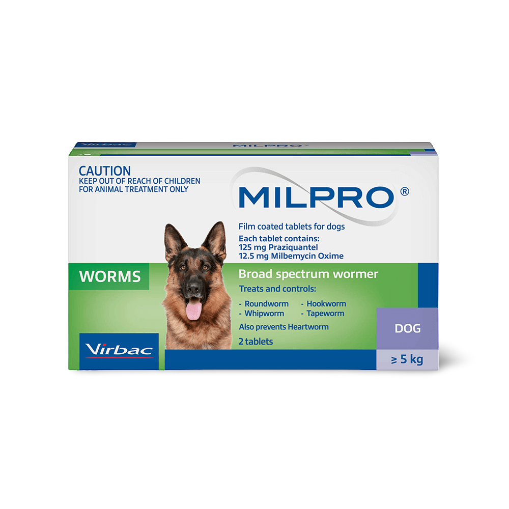 milpro puppy