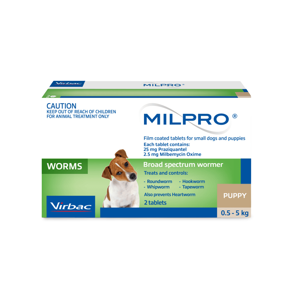 petag milk replacer plus for kittens