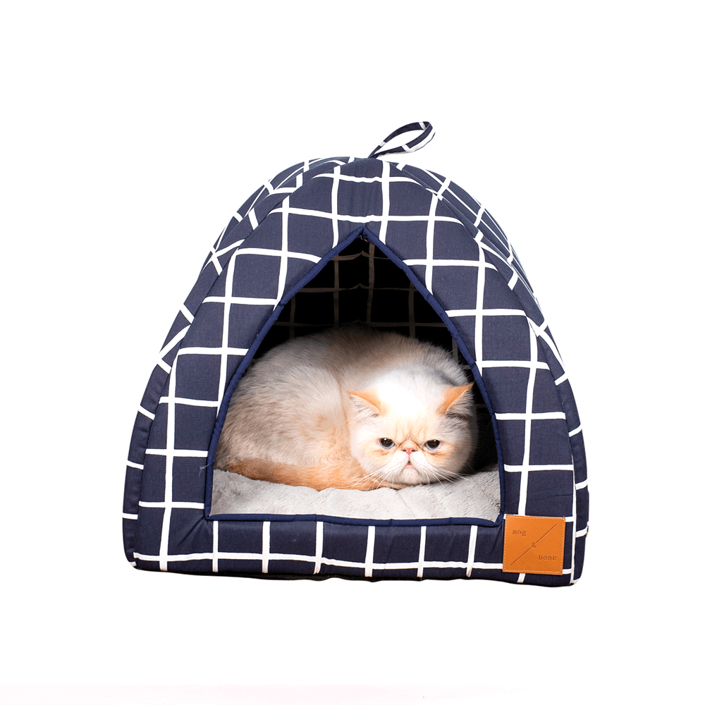 igloo cat carrier