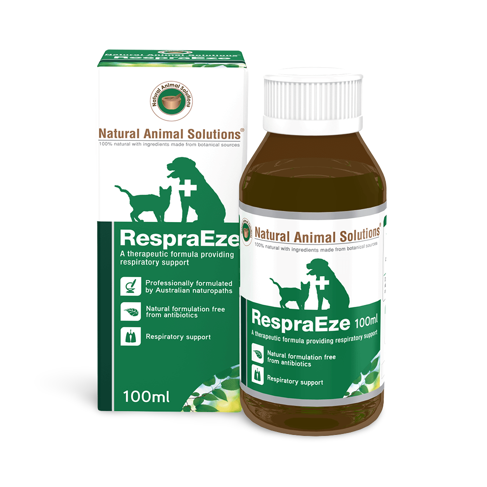 natural pet solutions