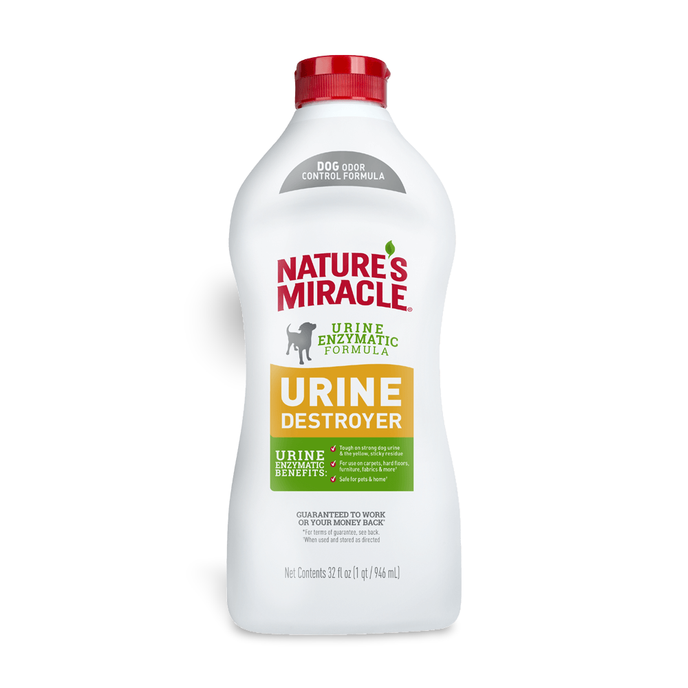 Buy Natures Miracle Dog Urine Destroyer Online Low Prices, Free Shipping