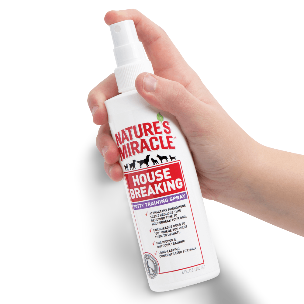 blind dog bumper collar amazon