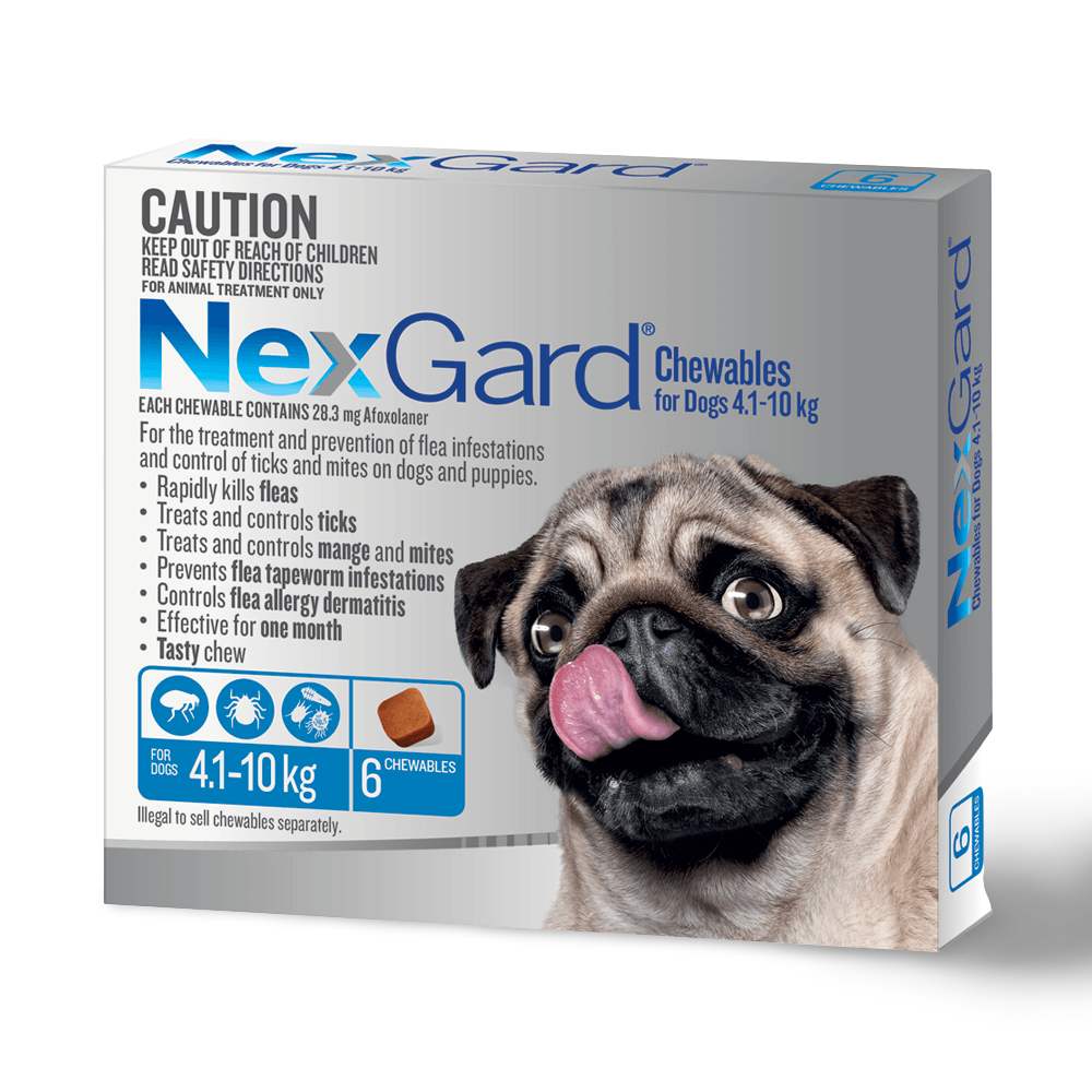 small dog products