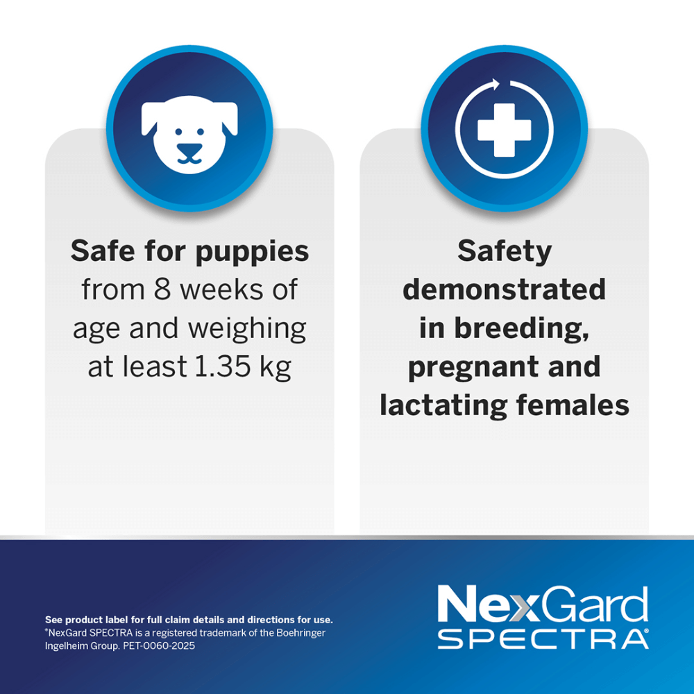 Buy Nexgard Spectra Medium Dog Online Better Prices At Pet Circle