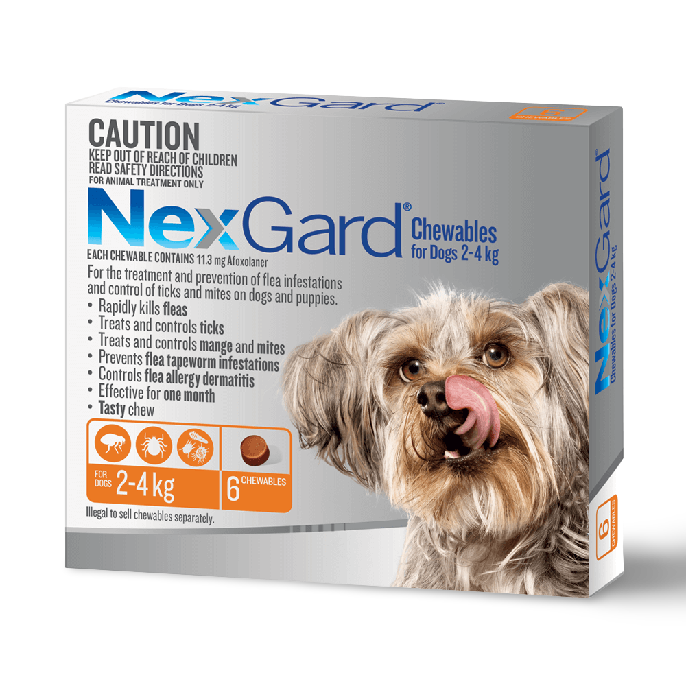 How Long Does It Take For Nexgard To Work On Mites / Ear Mites In Dogs