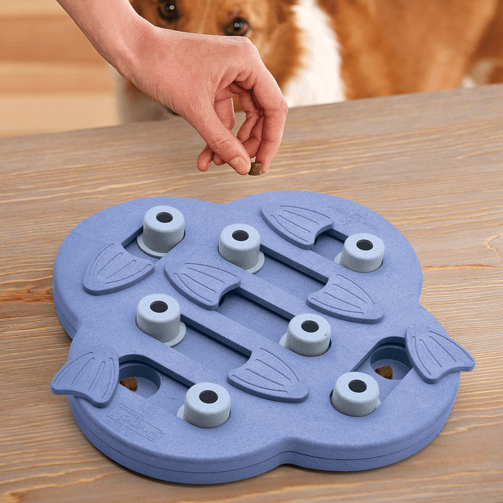 Buy Nina Ottosson Dog Hide N Slide Puzzle Purple Online Better Prices