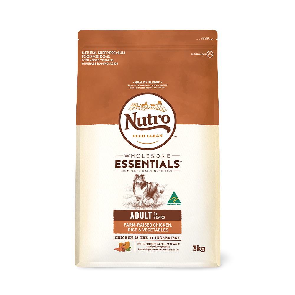 american bulldog schutzhund