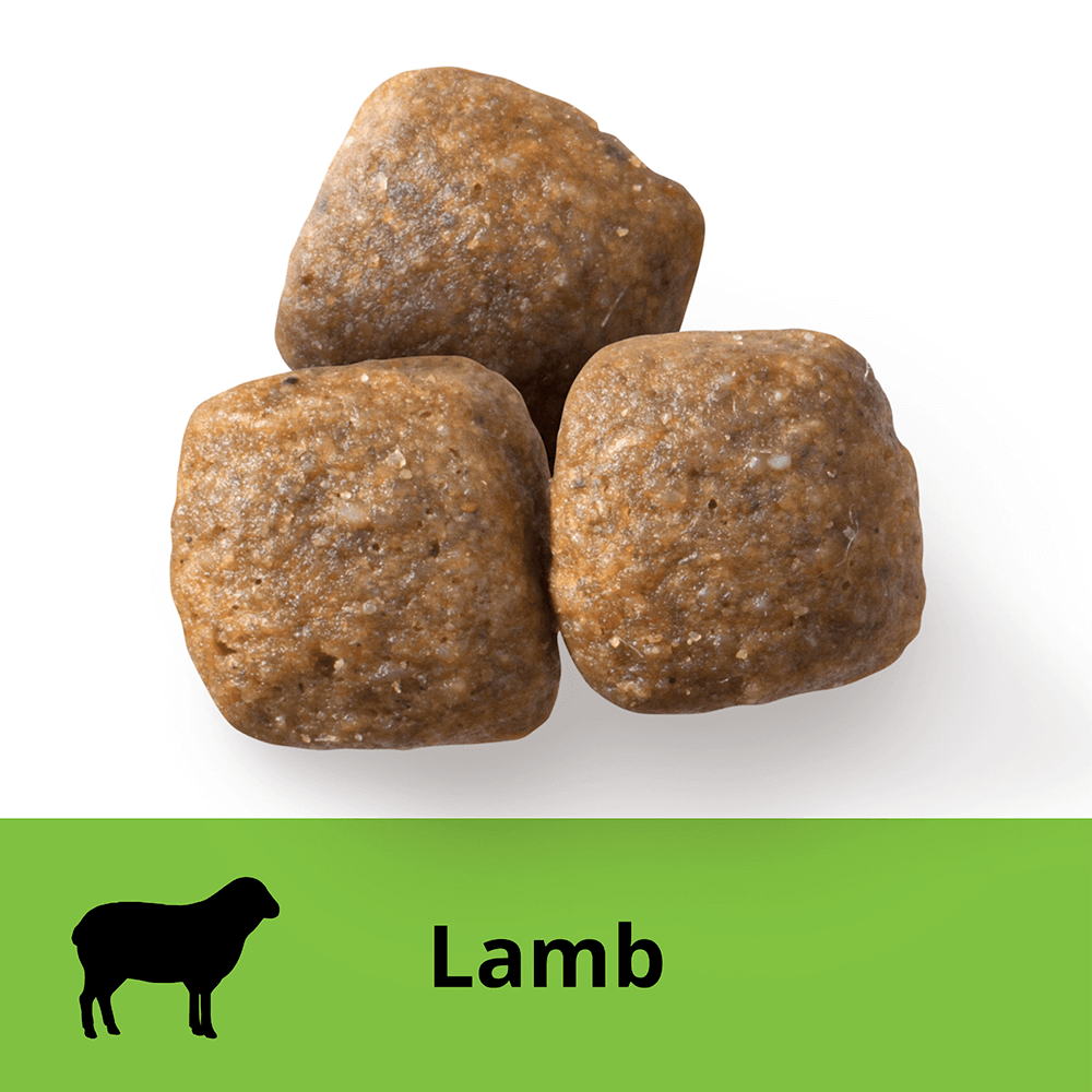 nutro weight control