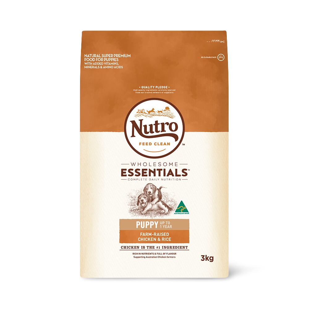 Buy Nutro Wholesome Essentials Dry Dog Food Puppy Chicken And Rice