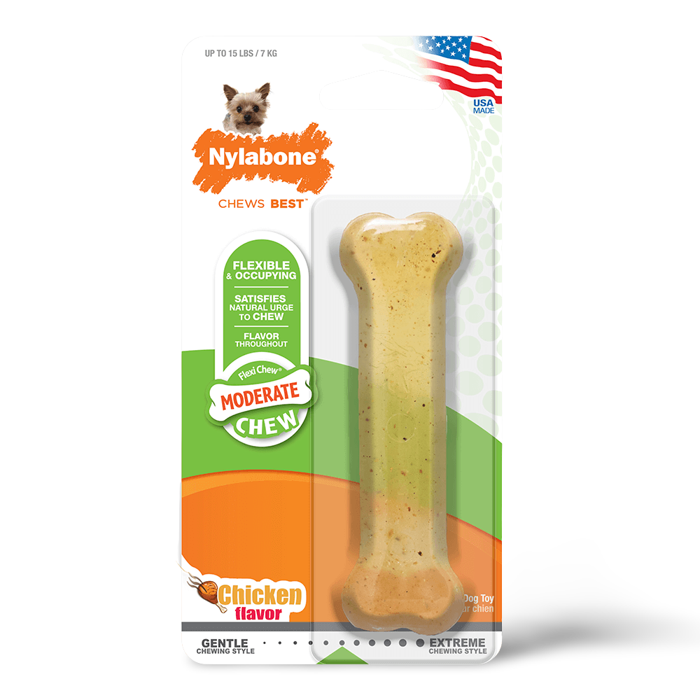 nylabone freezer bone