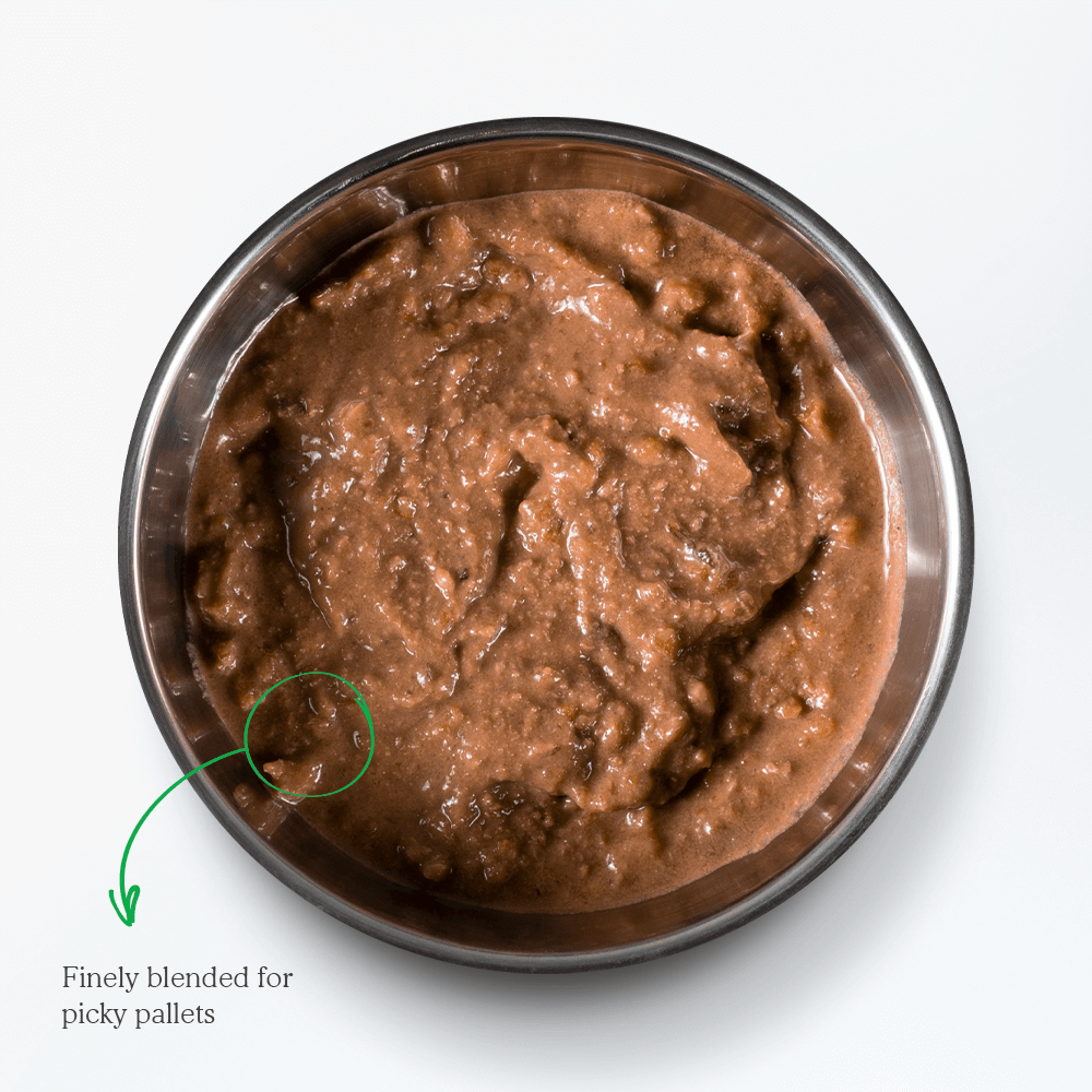 Buy Open Farm Chicken Rustic Blend Wet Cat Food Online Better Prices buy-open-farm-chicken-rustic-blend-wet-cat-food-online-better-prices
