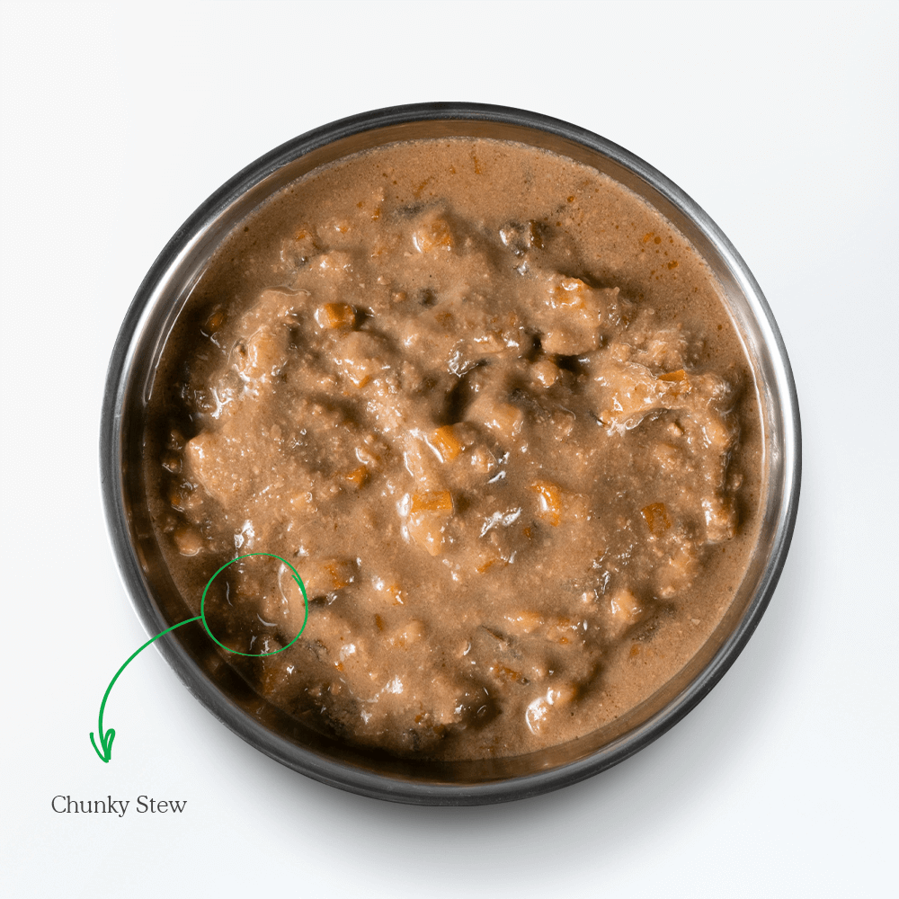 Buy Open Farm Chicken Rustic Stew Wet Dog Food Online Low Prices