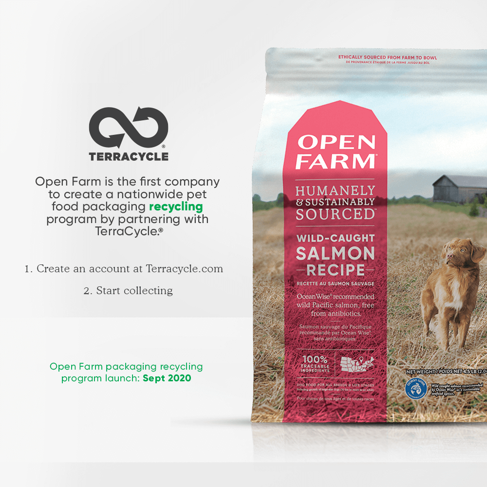 Buy Open Farm Grain Free Wild Caught Salmon Dry Dog Food Online Low