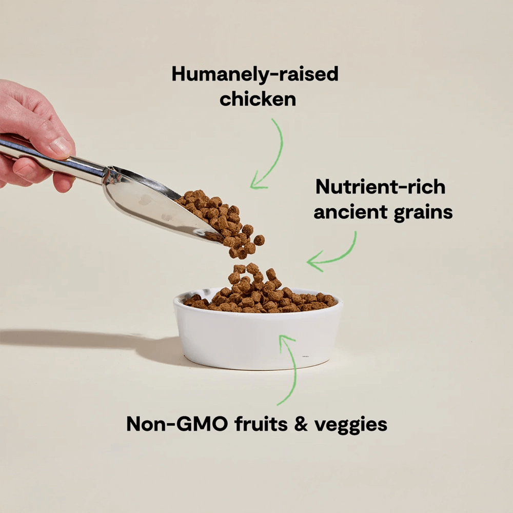 open farm raw dog food