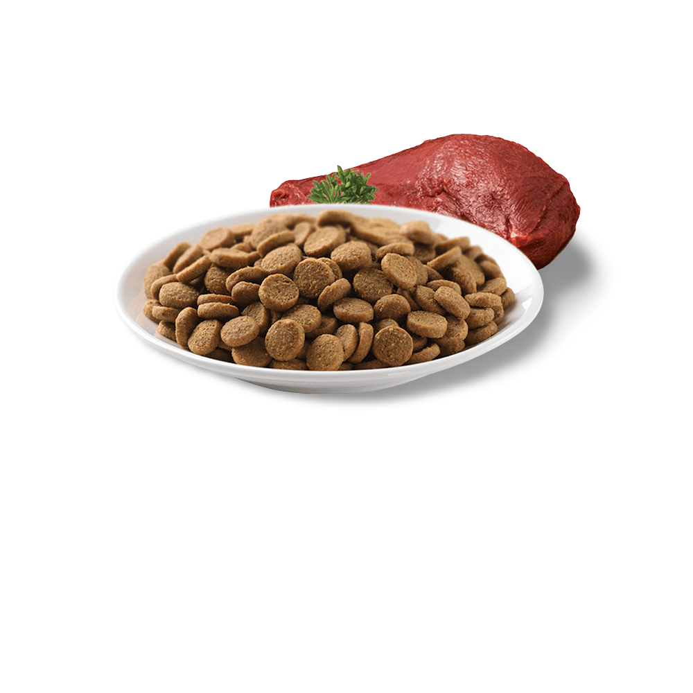 Buy Optimum Dry Cat Food Kangaroo Online Low Prices, Free Shipping