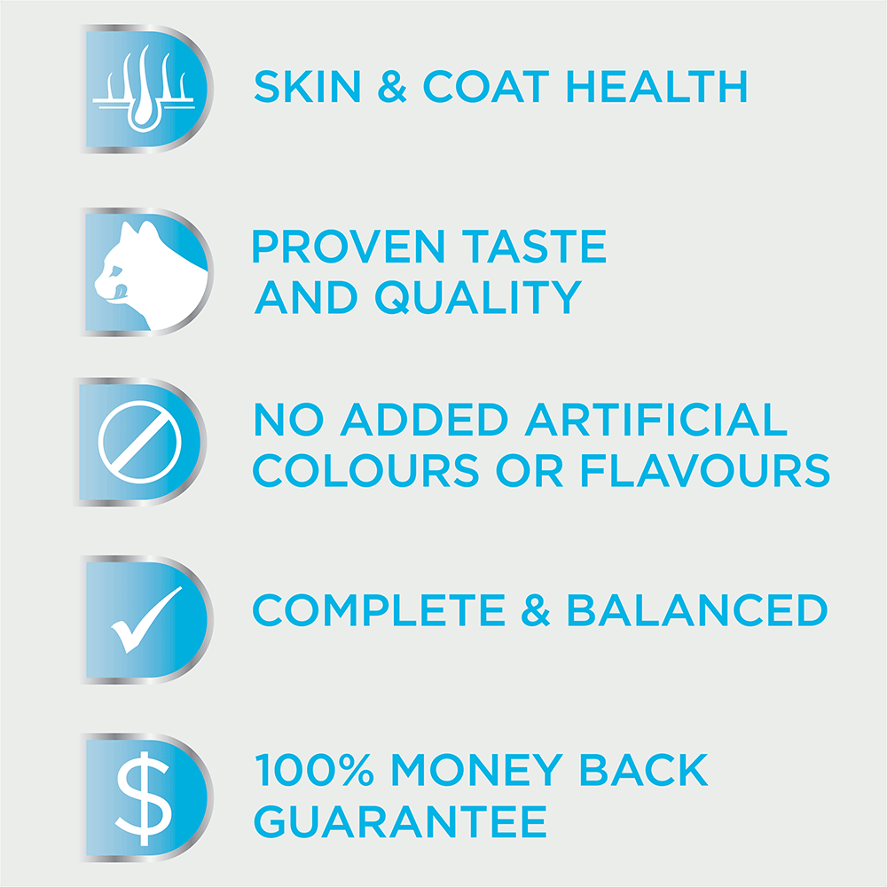 oral care cat biscuits