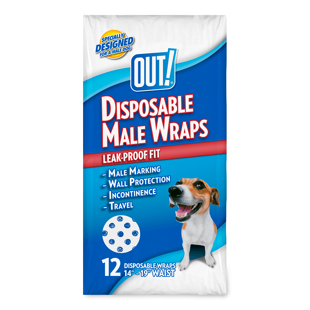 Buy Out Disposable Diaper Male Online Low Prices, Free Shipping