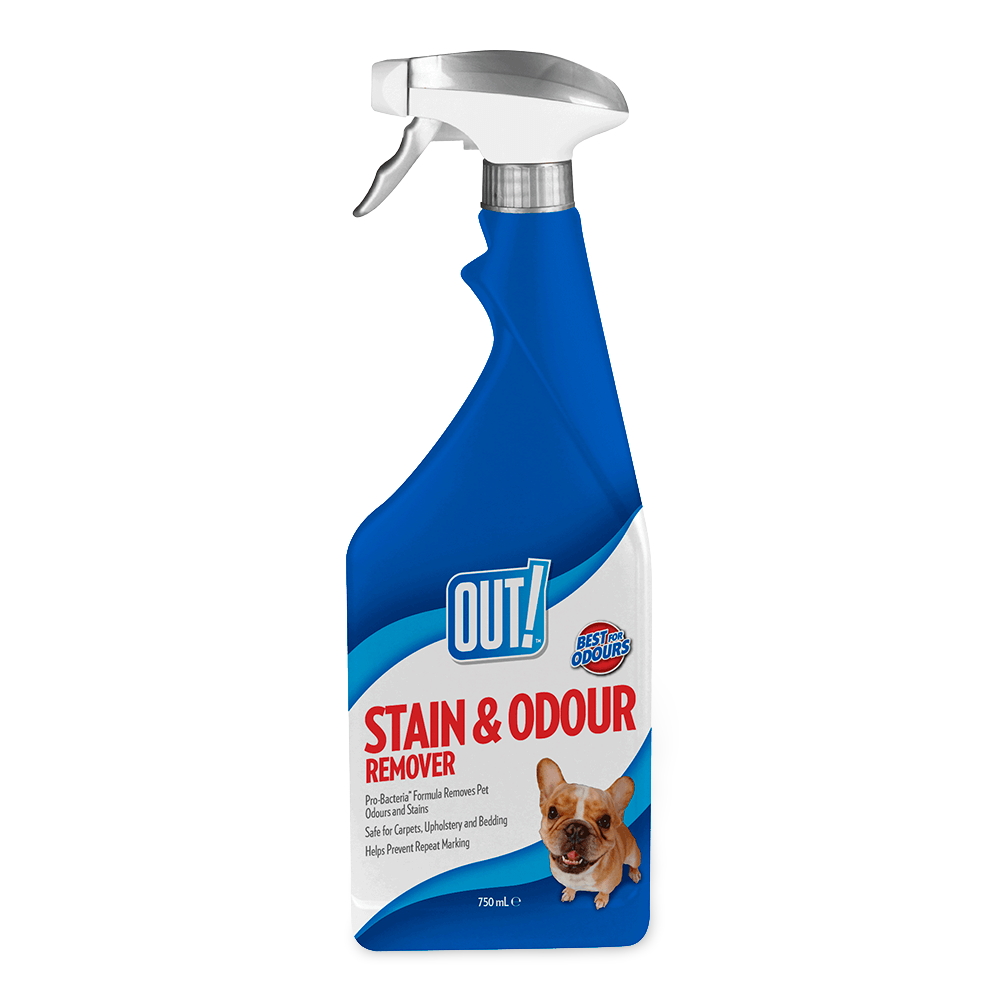 Buy Out Stain And Odor Remover Online Better Prices At Pet Circle