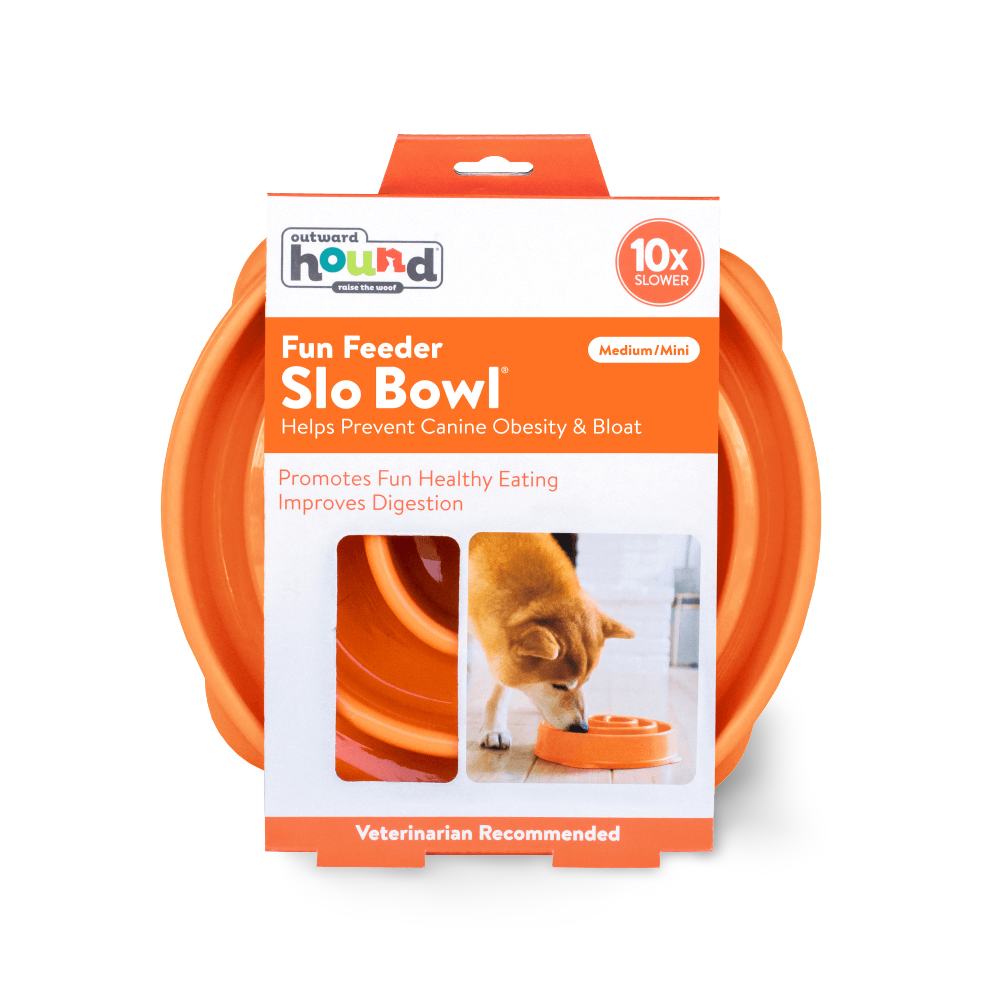 outward hound bowl