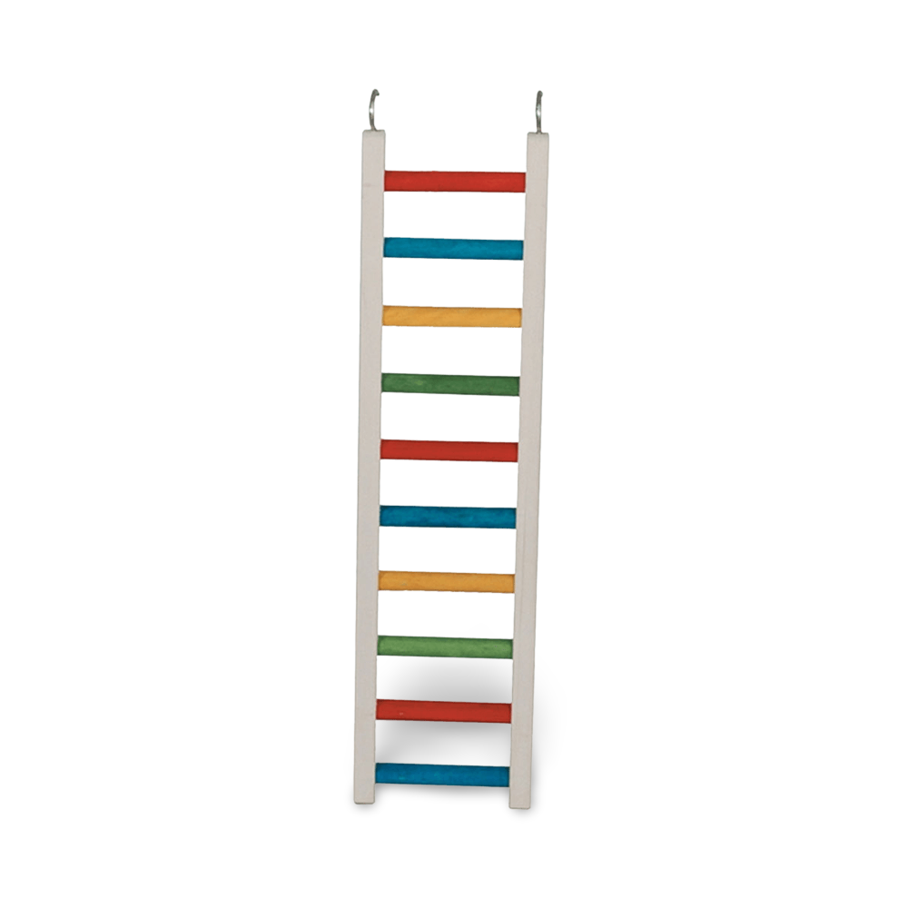 Buy Paradise Parrot Ladder Online Better Prices At Pet Circle