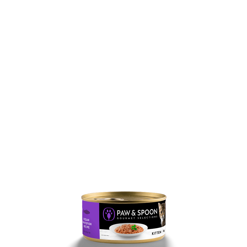Buy Paw And Spoon Kitten Ocean Whitefish Wet Cat Food Online Low