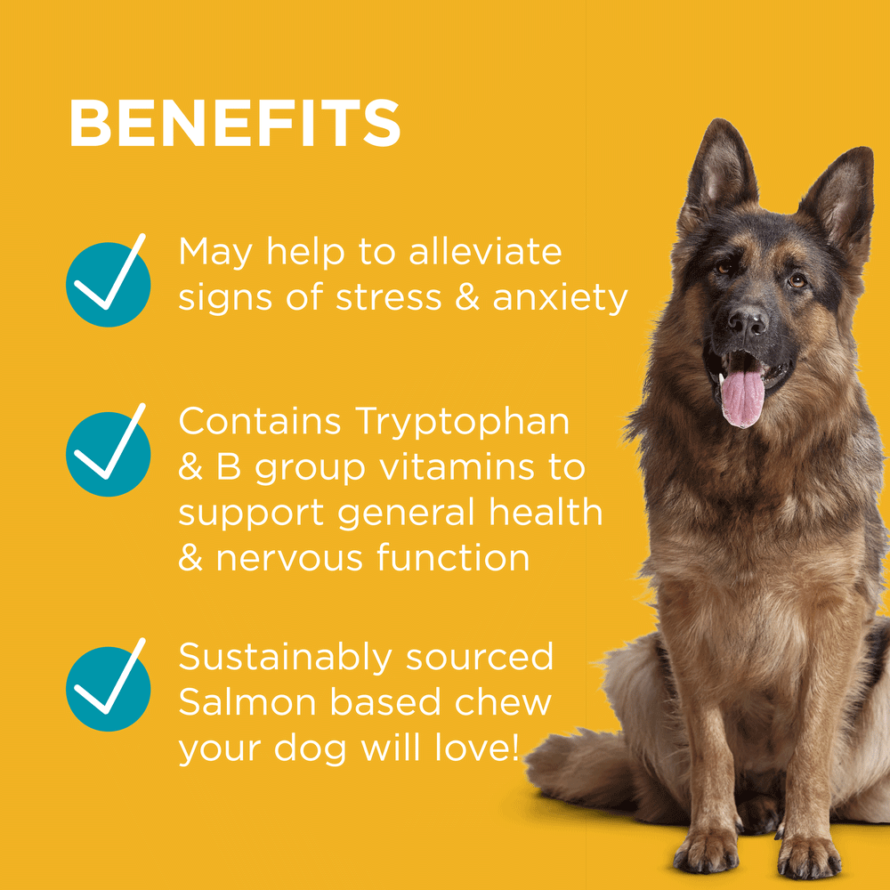 medicine to calm dogs