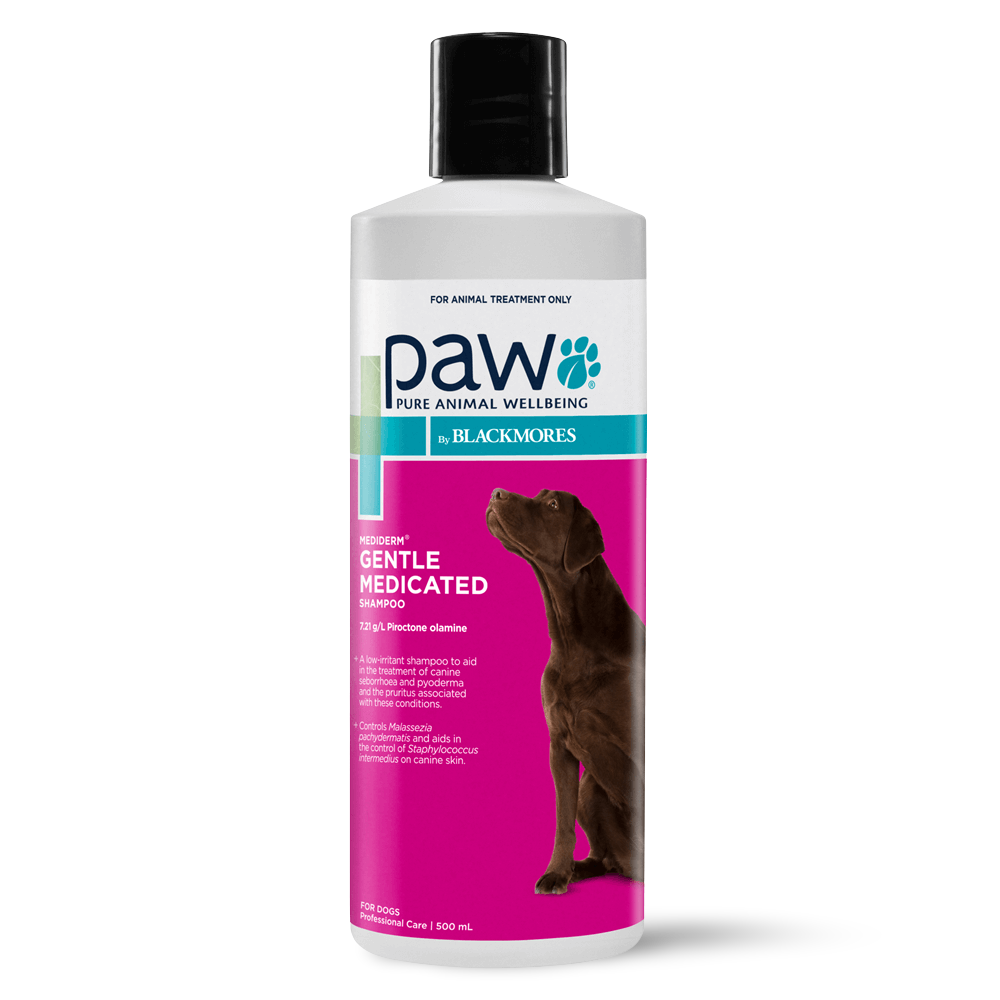 Buy Paw Blackmores Mediderm Gentle Medicated Shampoo Online Better