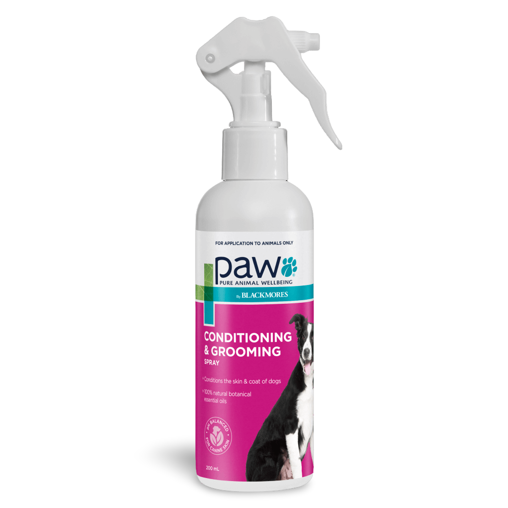 grooming spray dog