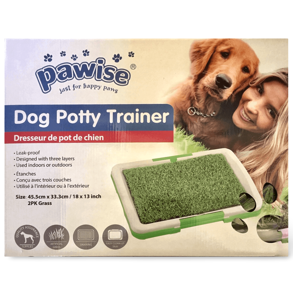 indoor dog pee