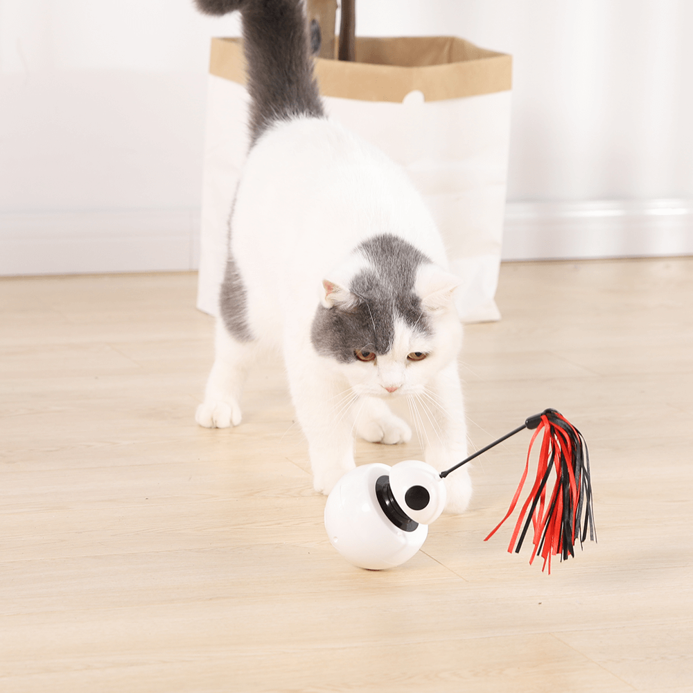 robot cat toy
