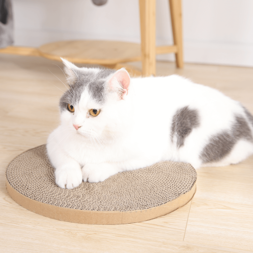 Buy Paws For Life 4 In 1 Cat Scratcher Replacement Online Better
