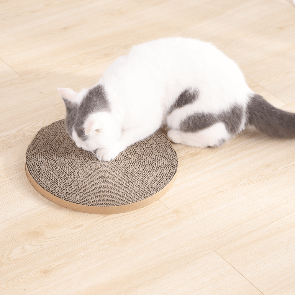 Buy Paws For Life 4 In 1 Cat Scratcher Replacement Online Better
