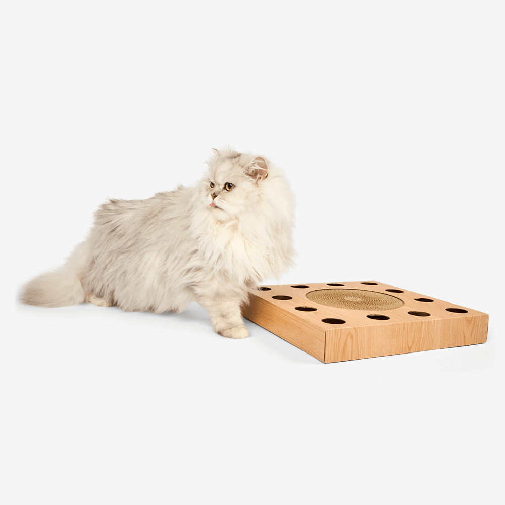 Buy Paws For Life Cat Scratch And Play Iq Puzzle Online Low Prices