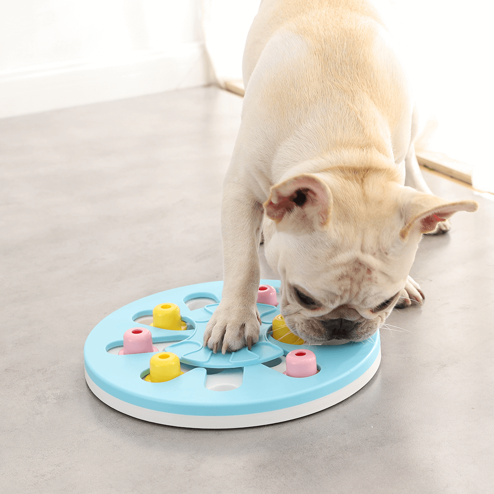 Buy Paws For Life Iq Puzzle Online Better Prices At Pet Circle