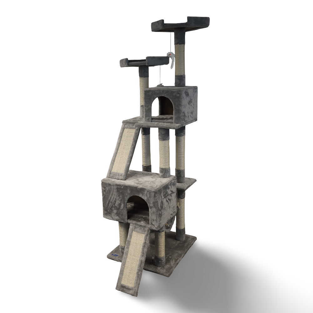 tall cat scratching tree