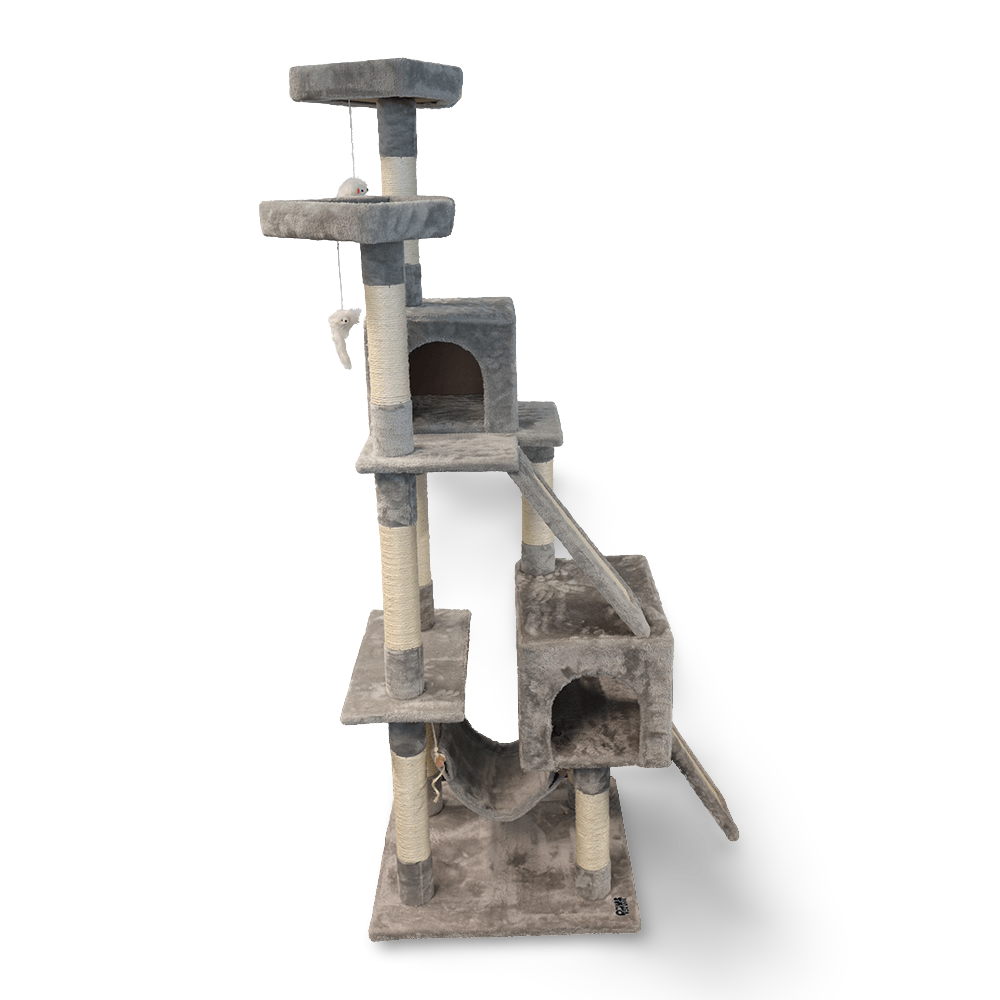 Buy Paws For Life Tall Cat Tree And Condo Online Low Prices, Free