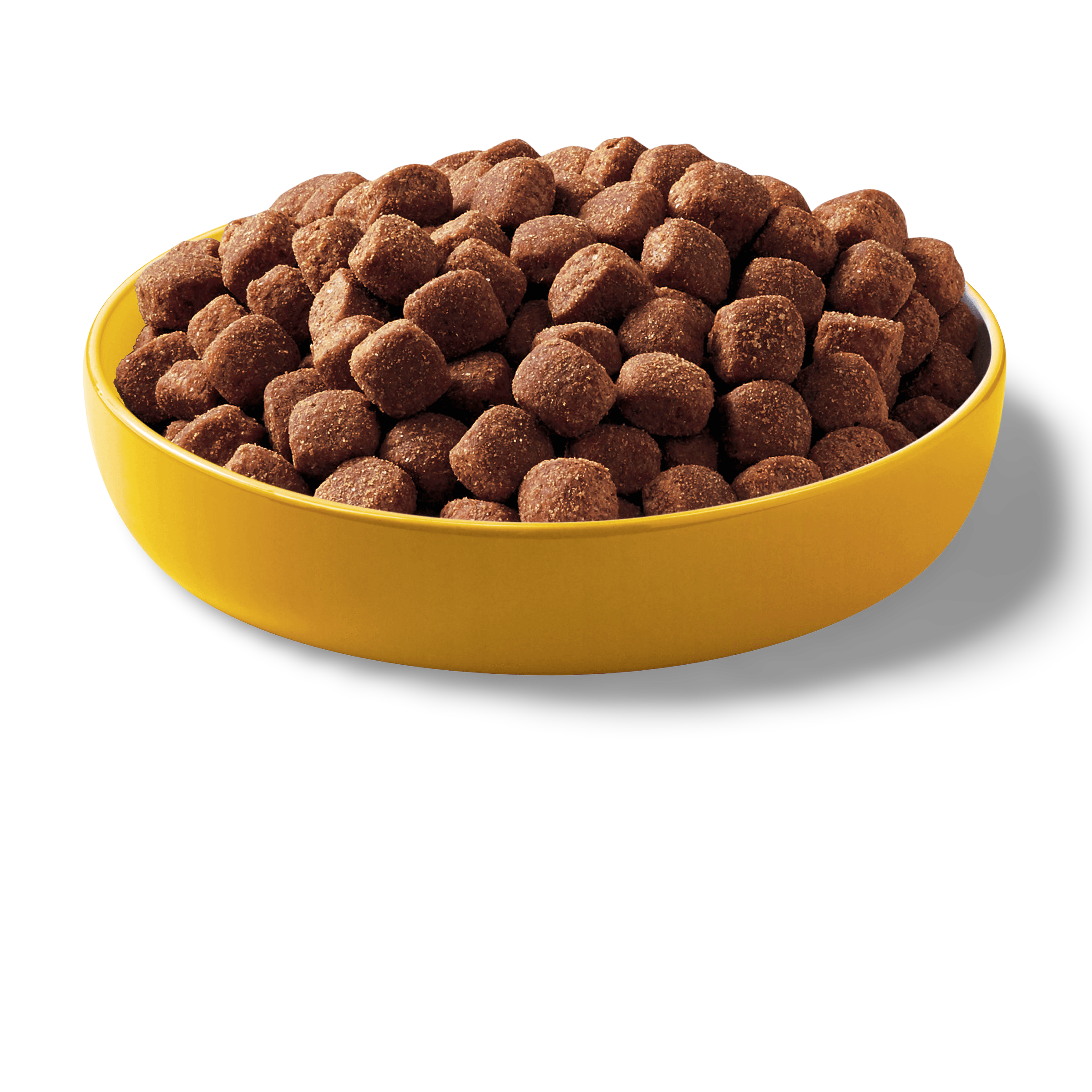pedigree dry dog food offers