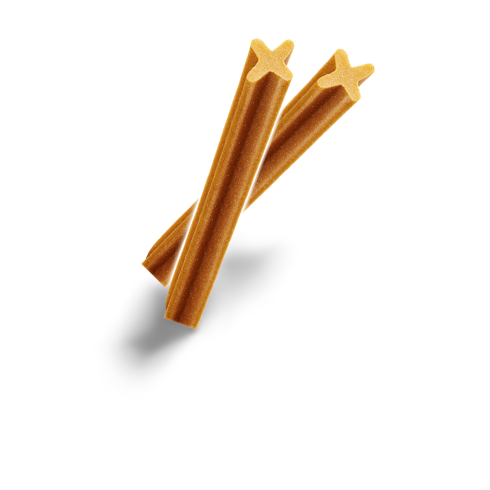 dentastix on special