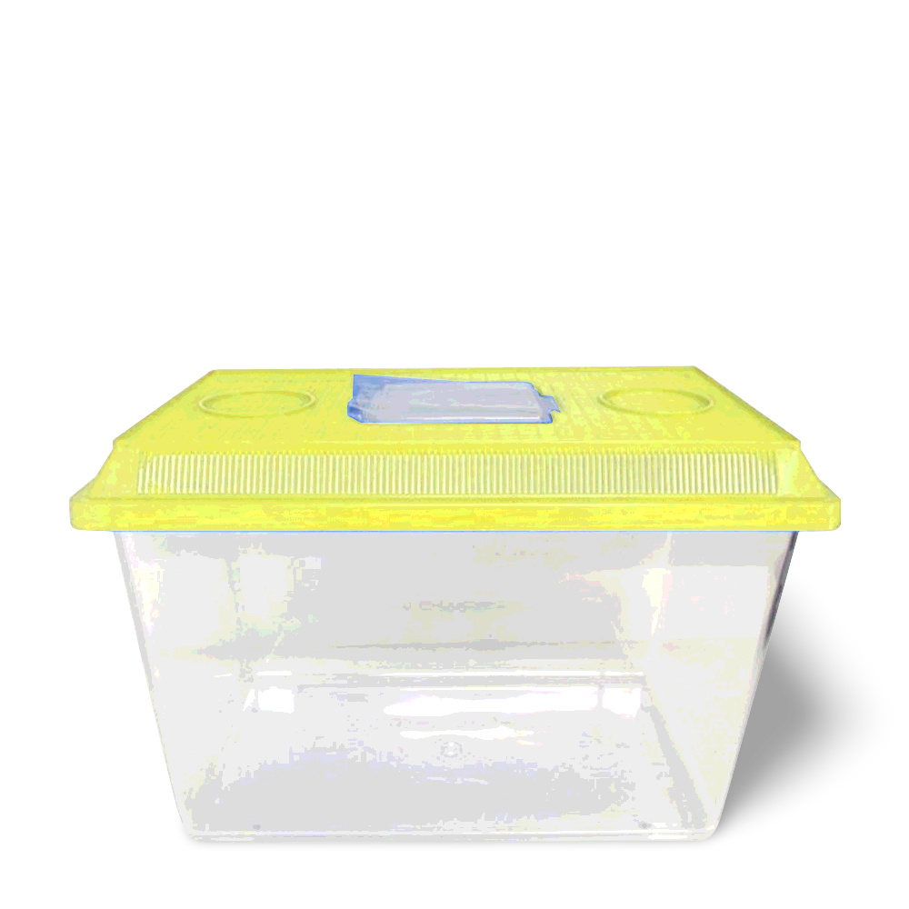 small plastic fish tank with lid