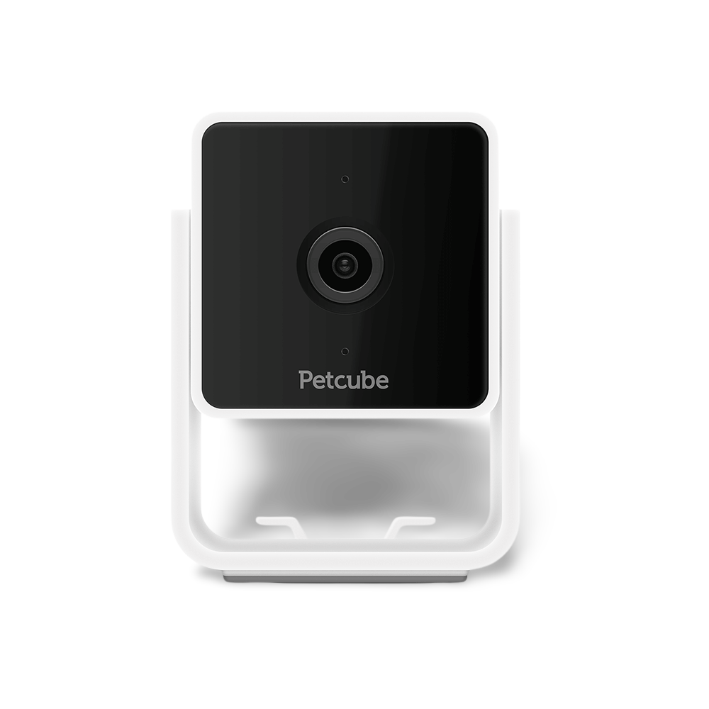 petcube camera