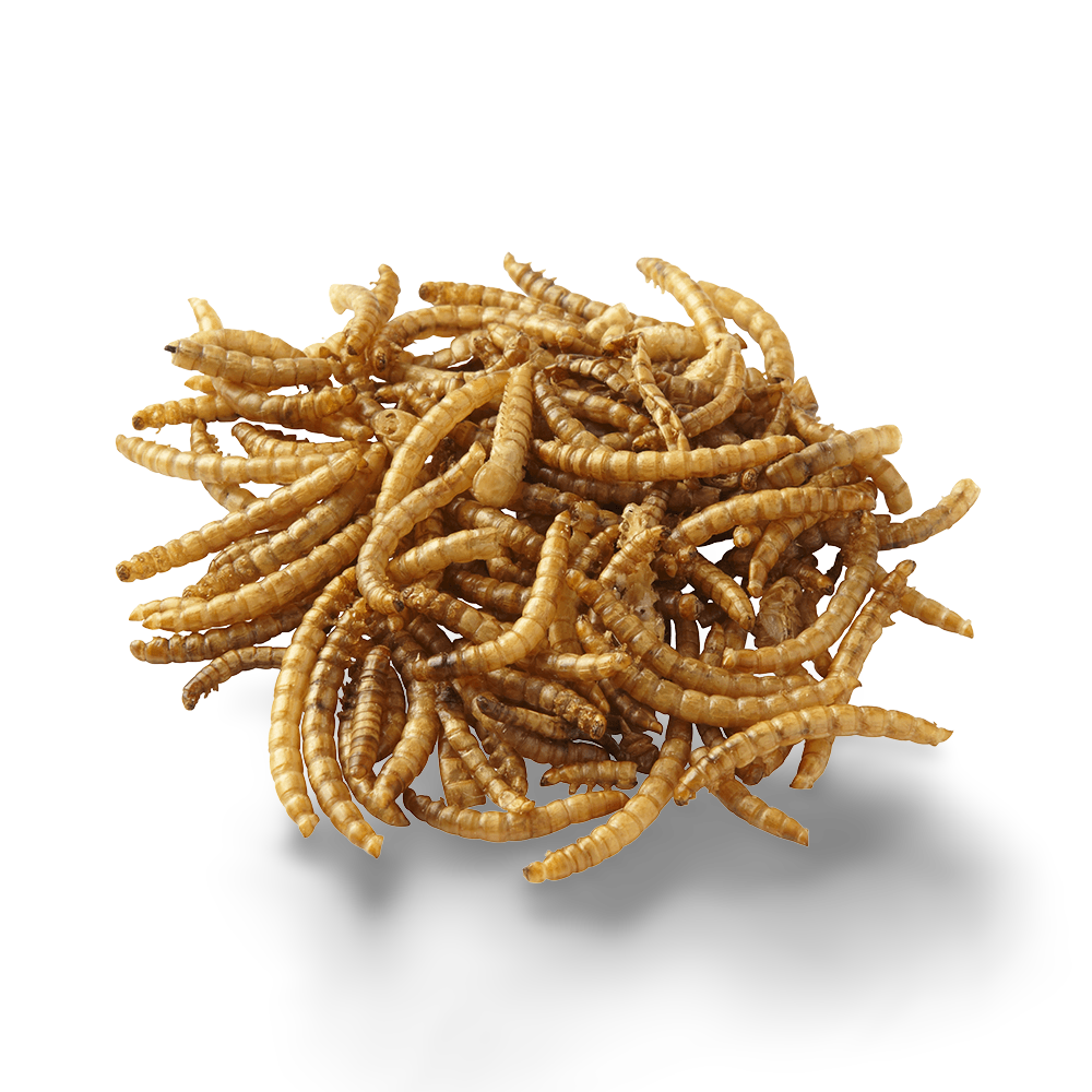 Buy Peters Wormies Dried Mealworms Online | Better Prices At Pet Circle