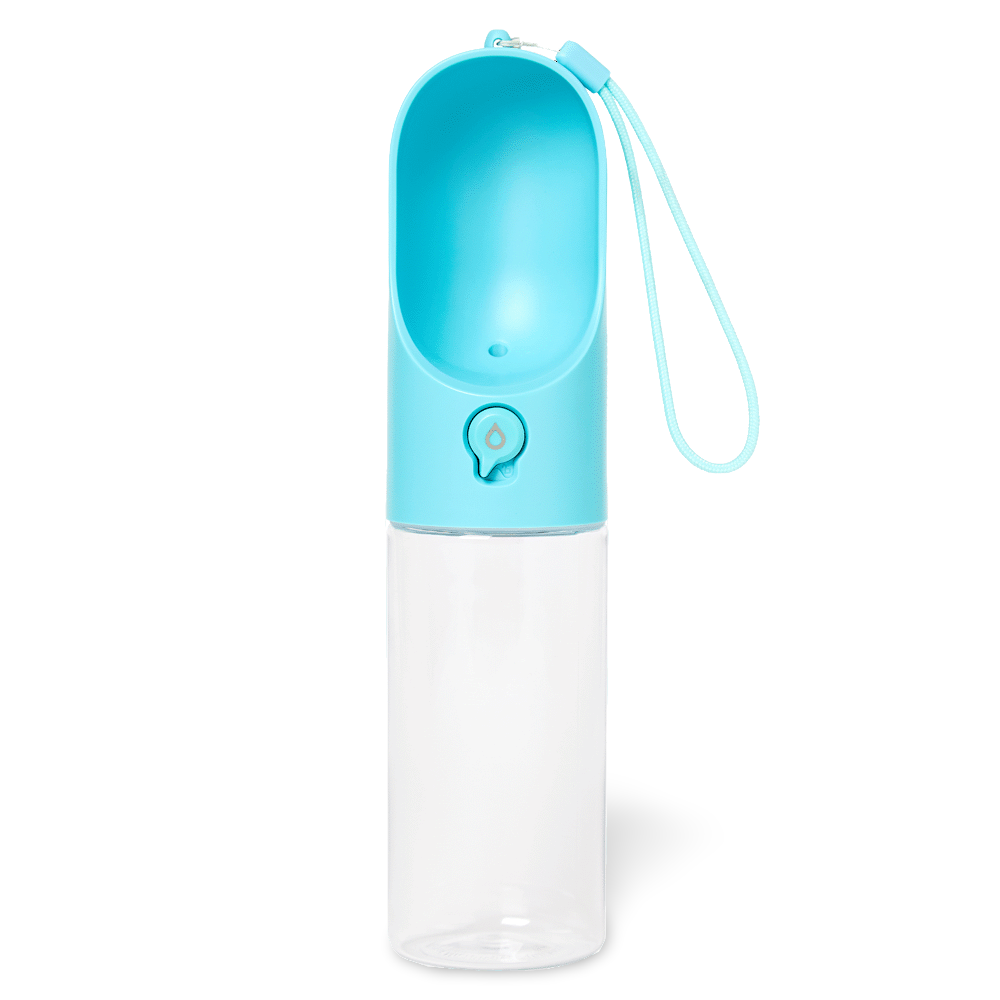 petkit water bottle