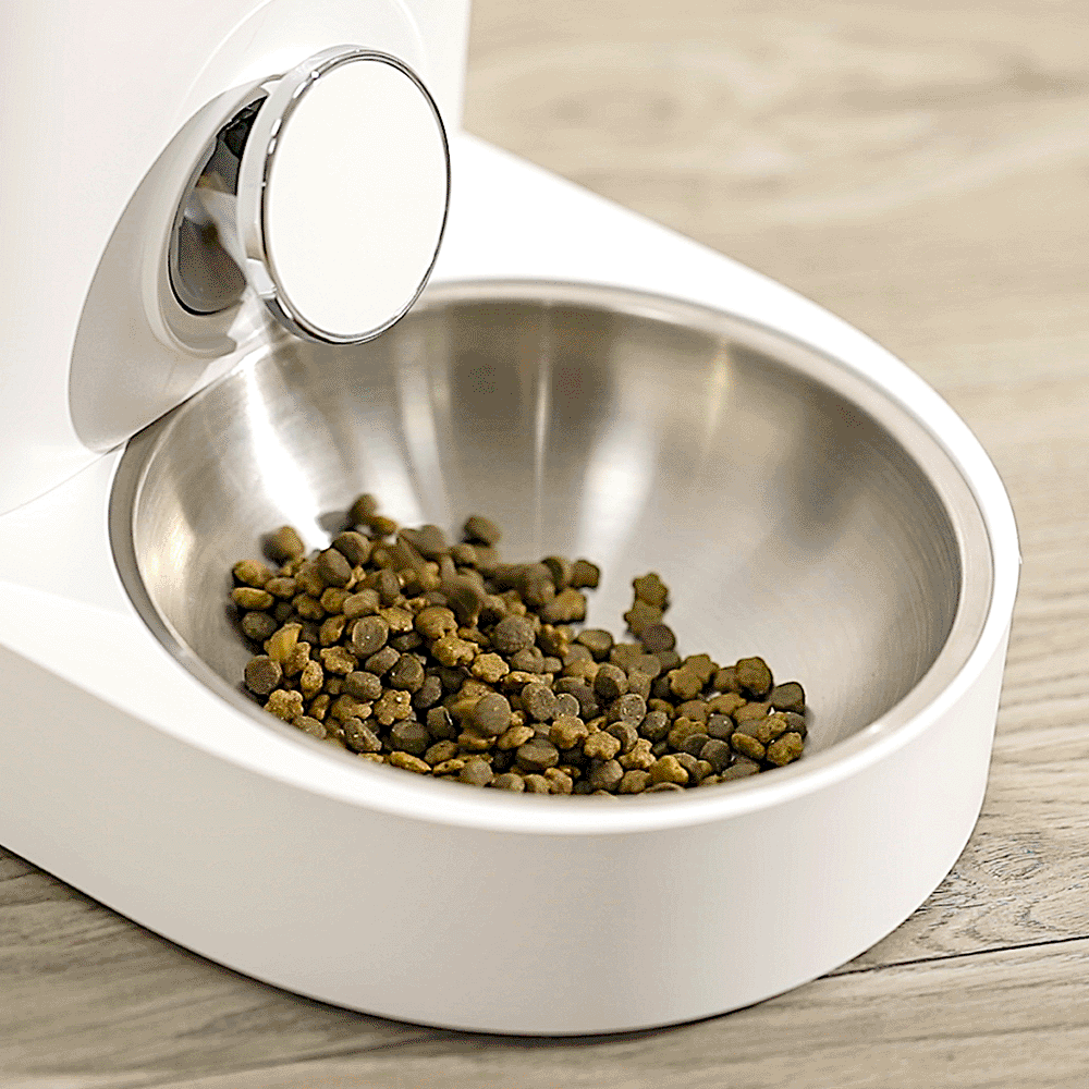 petkit feeder mini