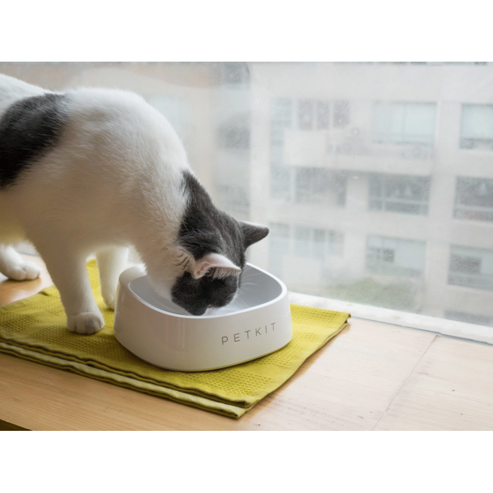 petkit smart bowl