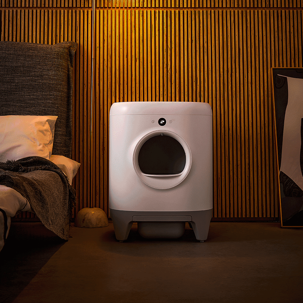 Buy Petkit Pura X Automated Self Clean Cat Litter Box Online Better