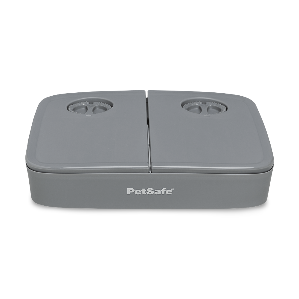 Buy Petsafe Automatic Two Meal Pet Feeder Online Low Prices, Free