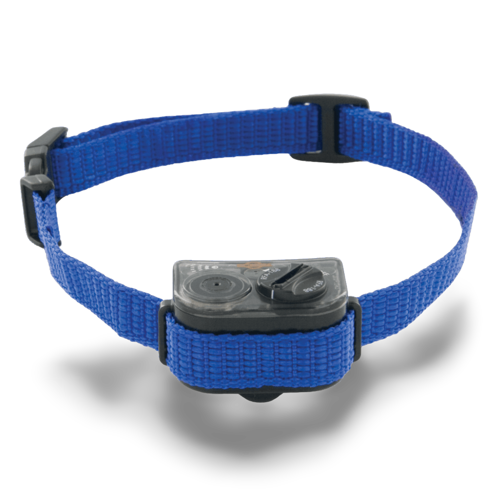 Buy Petsafe Bark Control Citronella Collar Elite Small Online Low