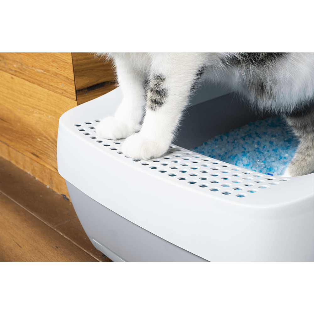 Buy Petsafe Deluxe Crystal Litter Box System Online Better Prices At