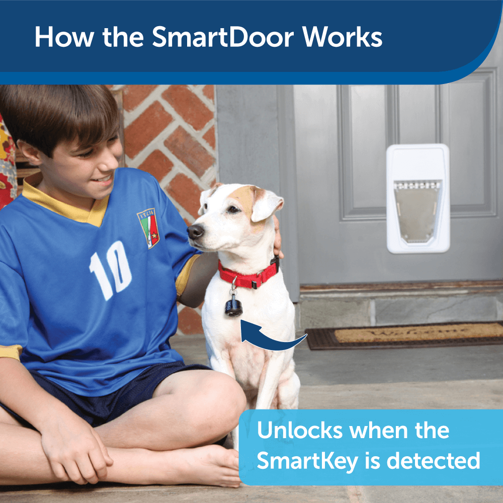 petsafe automatic door