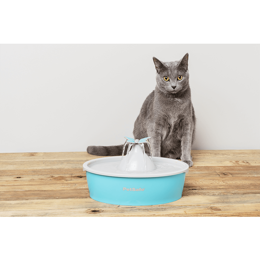 Buy Petsafe Drinkwell Butterfly Pet Fountain Online Better Prices At